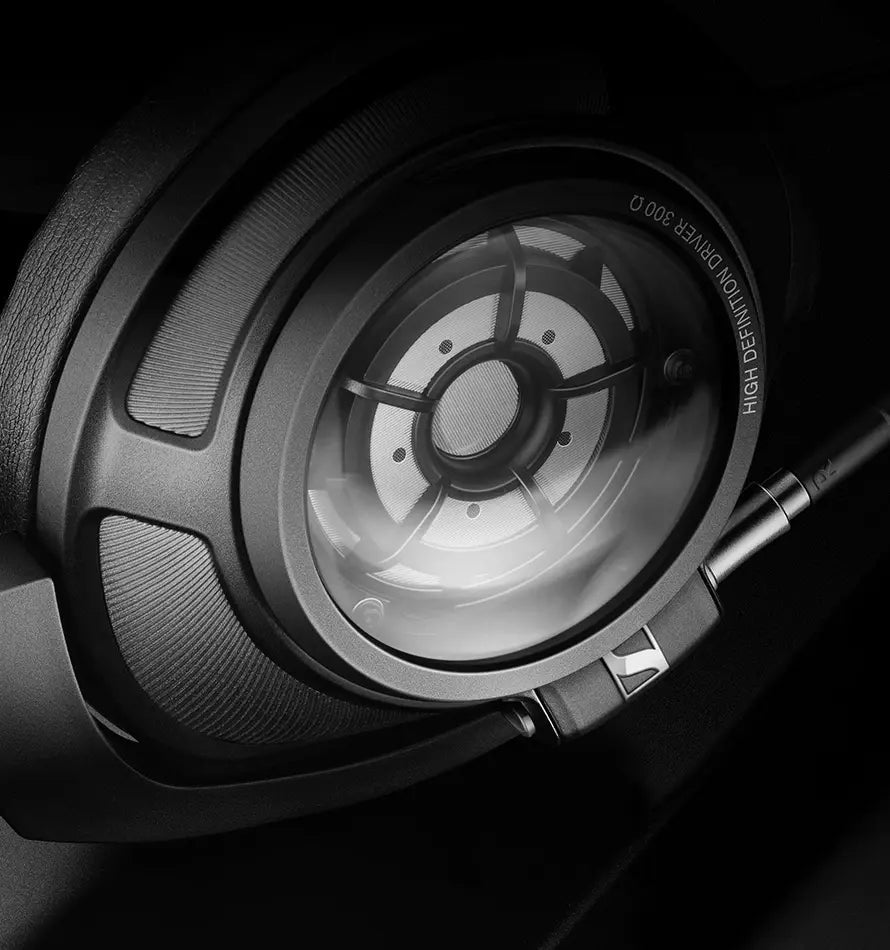 Momentum Sport Img 02