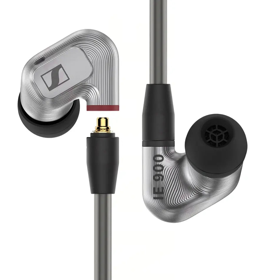 Momentum Sport Img 02