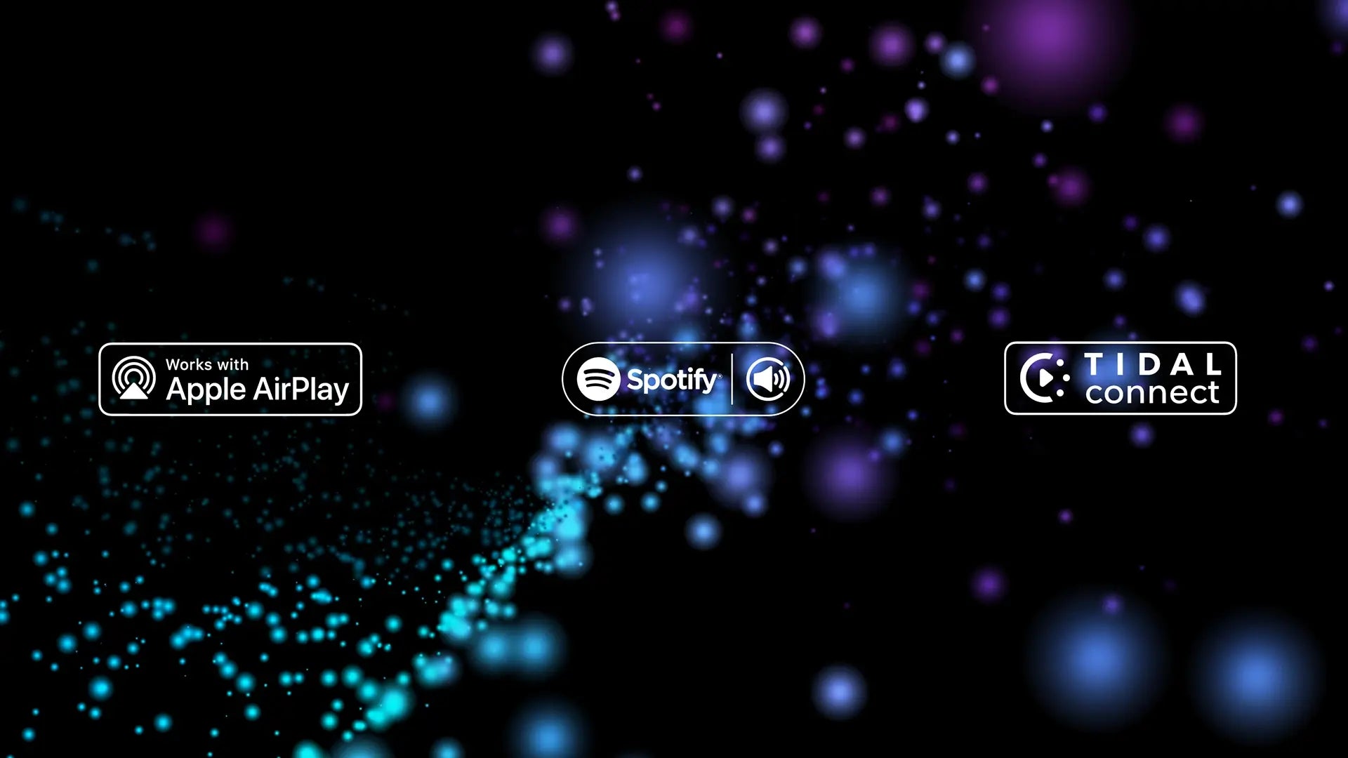 PDP 그래프 자산