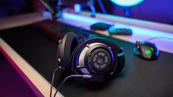 HD 800 S 개봉품