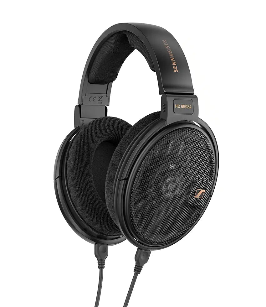Momentum Sport Img 02
